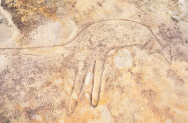 Australie, Sydney, parc national royal, Jibbon Head, gravure rupestre aborigène de kangourou